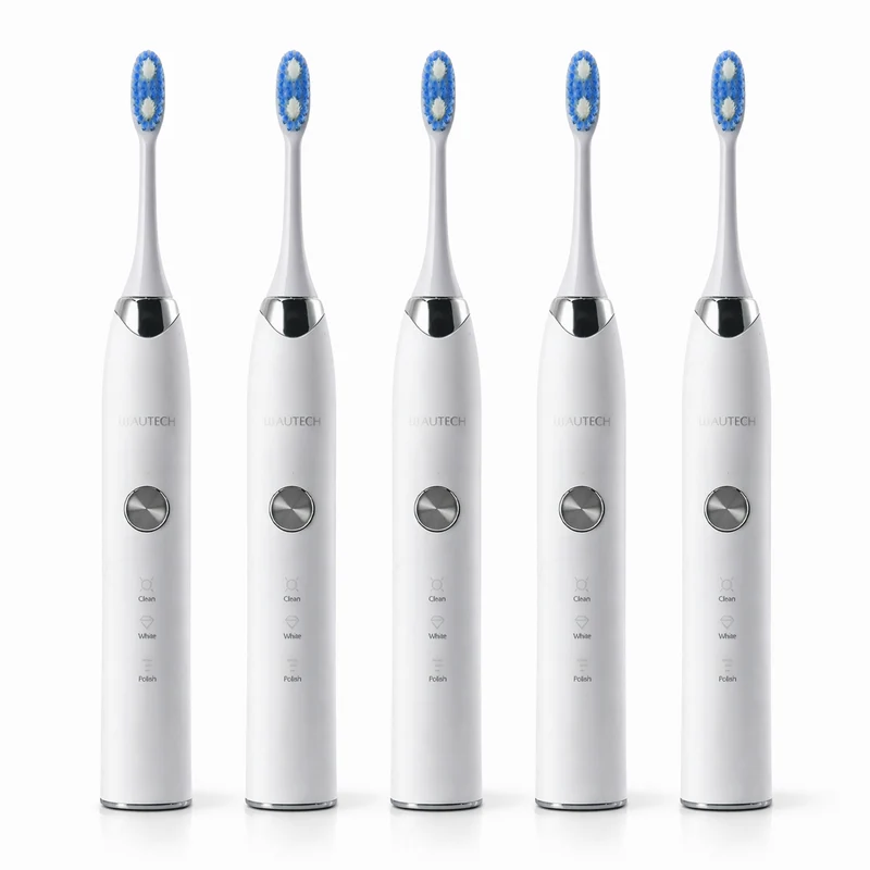 BEAUTECH 5er-Set Elektronische Schallzahnbürste mit 2 Bürstenköpfen, Wasserdicht IPX7, USB-Kabel, 5 Modi